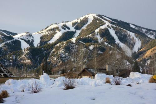 Westview Terrace # 3