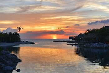 Hotel Lions Dive & Beach Resort Curacao