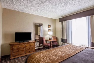 Hotel Comfort Inn & Suites (north Dallas)