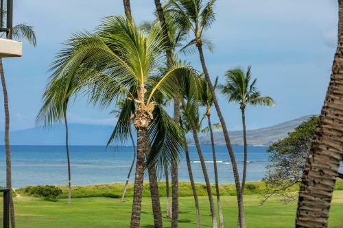Apartamento Kauhale Makai #330 Condo