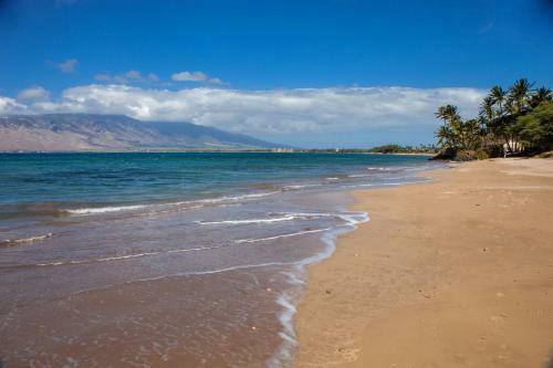 Apartamento Kihei Bay Surf #110 Condo