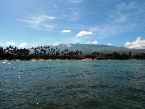 Apartamento Waiohuli Beach Hale #d-221 Condo