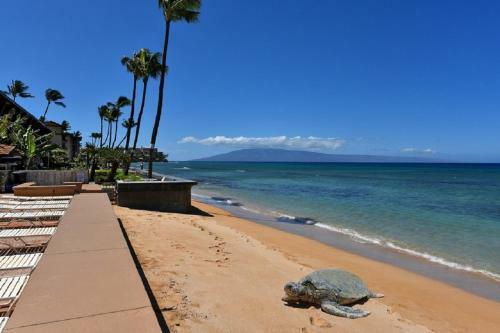 Apartamento Makani Sands Unit 108-1 Bedroom Condo
