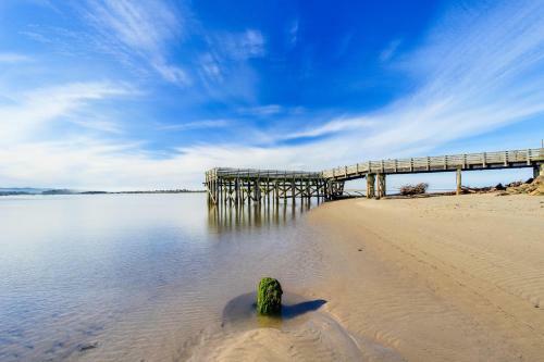 Salmon 1-a