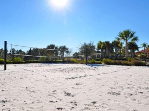 Yellow Hearth 318