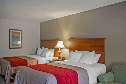 Hotel Quality Inn & Suites Memphis Germantown