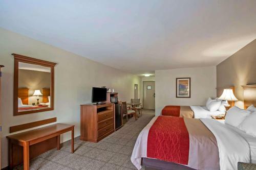 Hotel Quality Inn & Suites Memphis Germantown