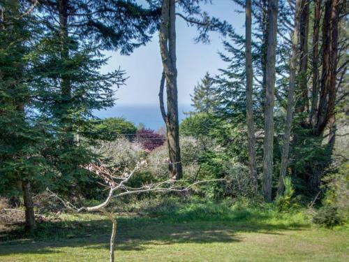 Mendocino Magic