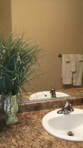 Apartamento 3 Bedroom Condo In Mesquite #370