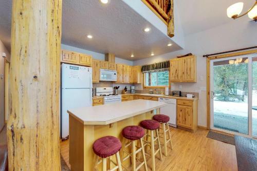 Conifer Family Cabin