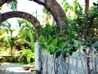 Hotel Bungalows Santa Cruz