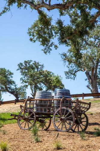 Cava Robles Rv Resort