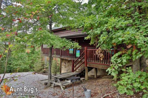Black Bear Hibernation #2825 - Two Bedroom Cabin