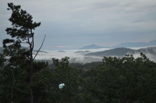 A Grand View From Above #225 - Two Bedroom Cabin