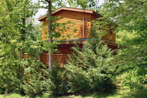 Skinny Dippin' #261 - Two Bedroom Cabin