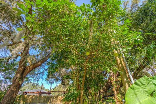 Apartamento Port Charlotte Vacation Home