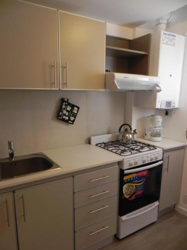 Apartamento Monoambiente Amplio En Bariloche
