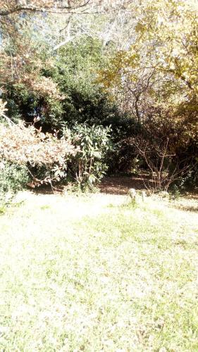 Rancho Apar T -