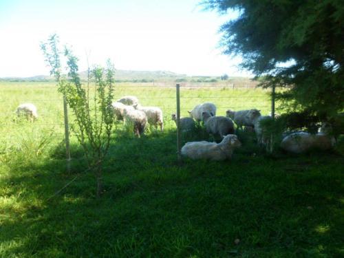 Lodge Complejo Caba�as Cerro Redondo