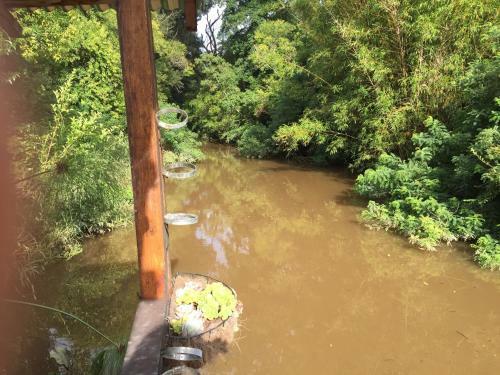 Lodge Caba�a En El Arroyo Pajarito