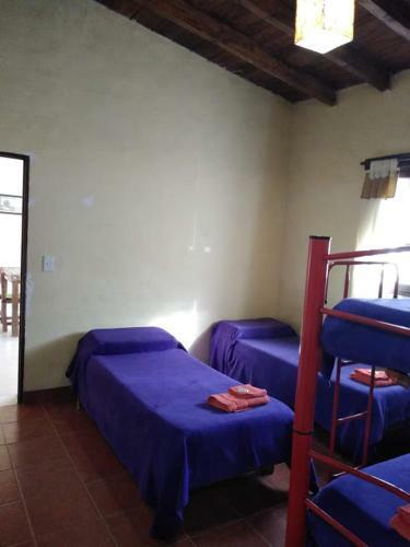 Posada La Casa De La Abuela -hospedaje En Tilcara