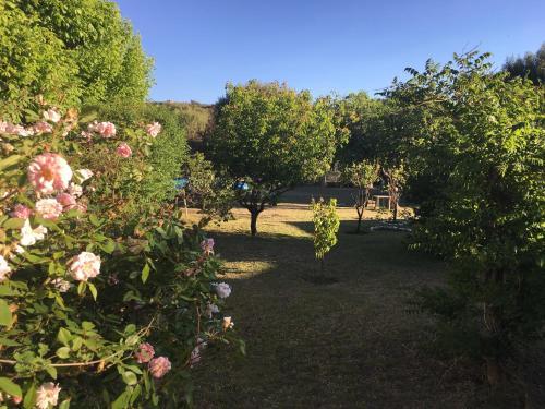 Posada Munay Resort