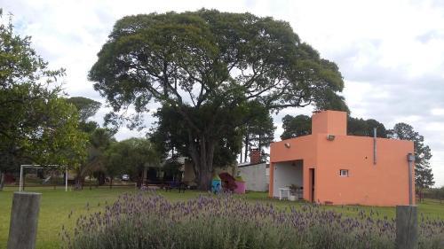 La Quinta De Toto