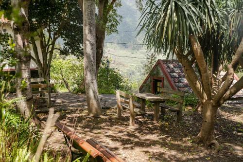 Casas Do Lan�o By Travel To Madeira
