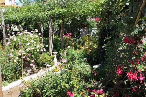 Villa Dinis Country Apartment By Ourmadeira