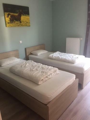 Apartamento Ensor 0401