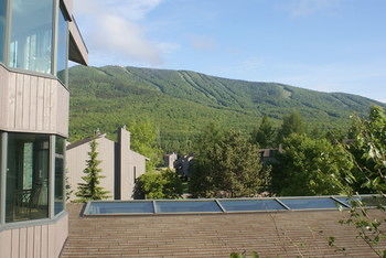 Hotel Au Domaine Des Neiges