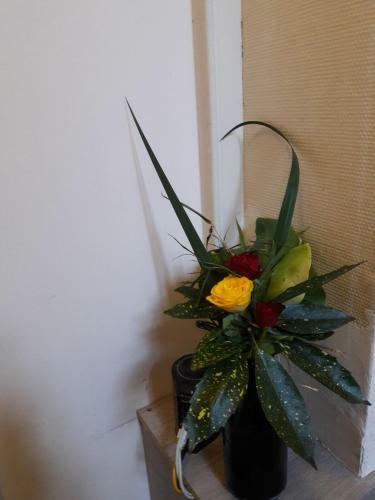 Apartamento Residence Marie- Therese & Joseph II