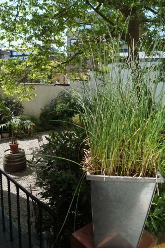Bed & Breakfast Villa Botanique Guesthouse