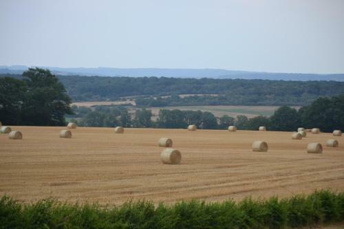 Vue D'en Haut