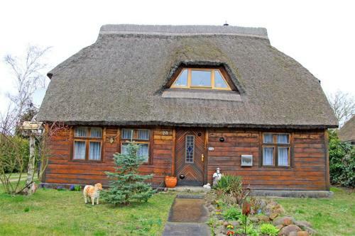 Apartamento Ferienwohnung Born Fdz 211