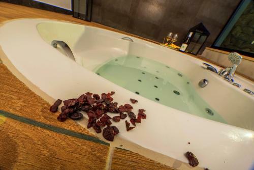 Hotel Gillham Luxury Boutique & Wineyard