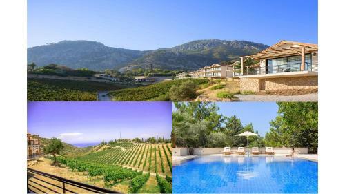 Hotel Gillham Luxury Boutique & Wineyard