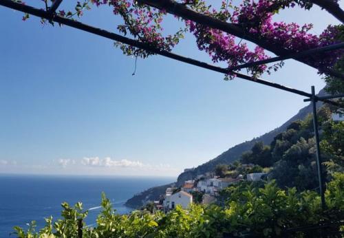 Amalfi Apartment Sleeps 2 T721484