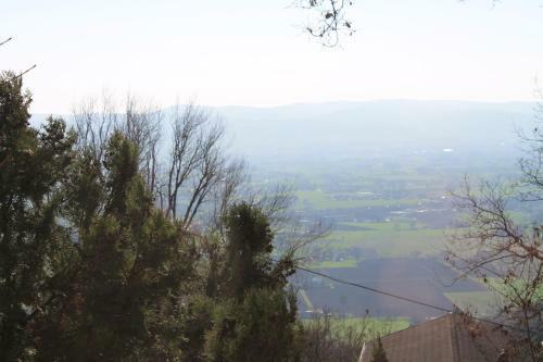 Bed & Breakfast Sogni D'assisi