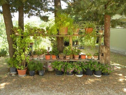 Agroturismo Agriturismo Col Cacione