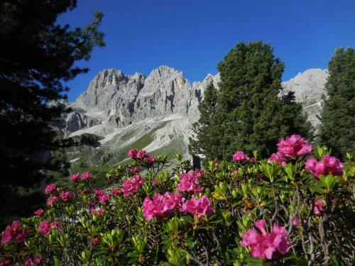 Hotel Al Viel B&B