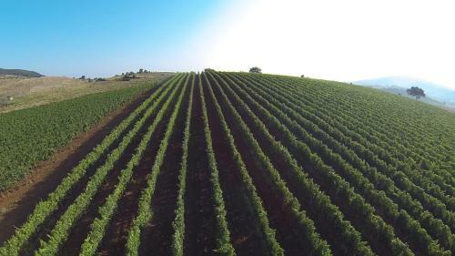 Agroturismo Il Casale Degli Olivi