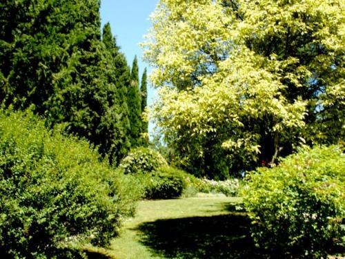 Patarnione Villa Sleeps 6 Pool Wifi