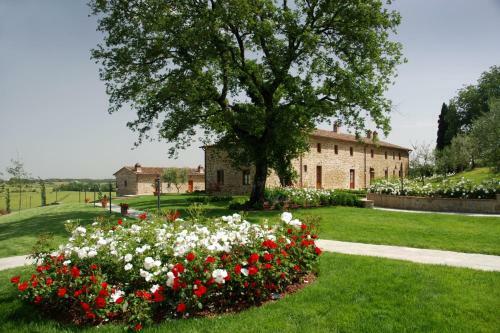 Ciggiano Apartment Sleeps 4 Pool Air Con T714453
