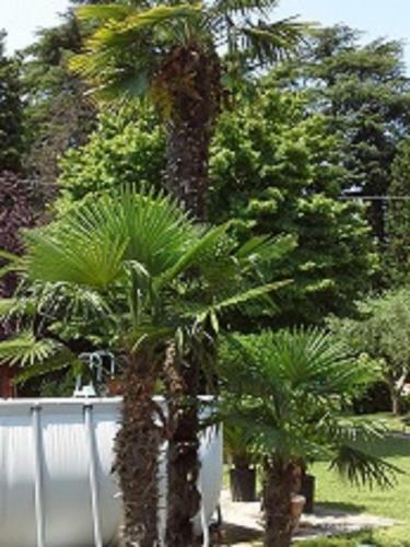 Bed & Breakfast Relais Villa L�zard