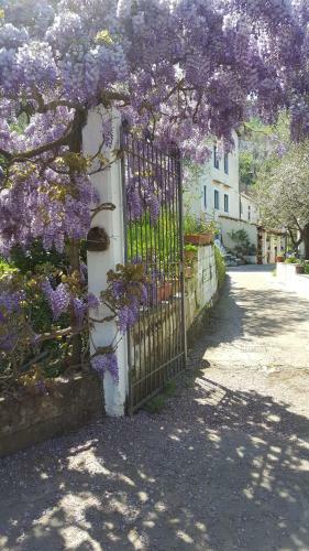 Agroturismo Gli Ulivi Agriturismo
