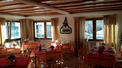 Hotel Punta Cian
