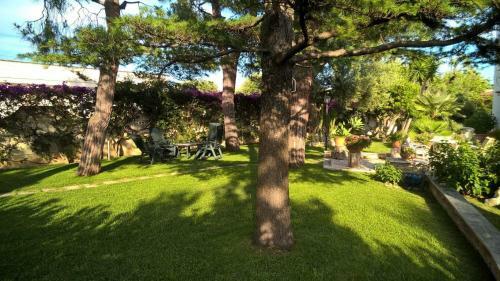 Holiday Home Torre Canne/kampanien 33502