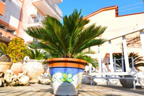 B&B Le Cycas