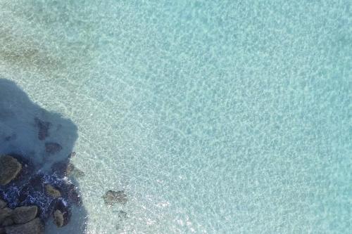 Holiday Villa Torre Dell'orso M566